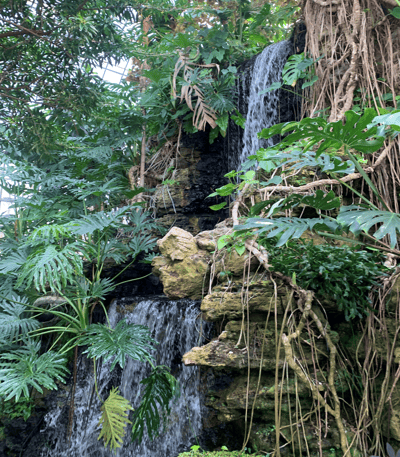 Wasserfall Krohn conservatory.png